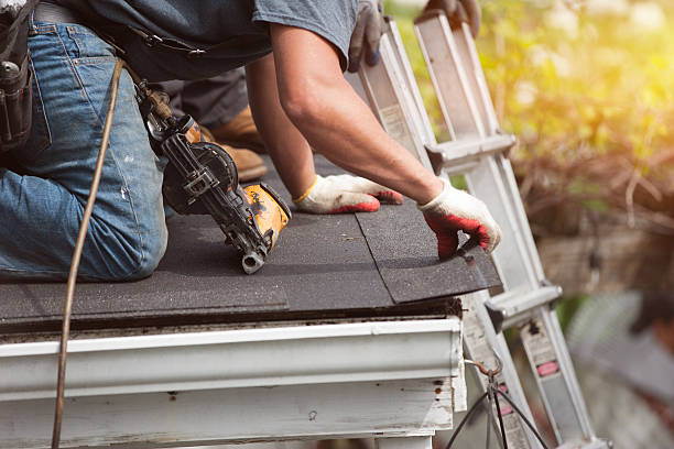 Best Roof Repair Services  in Vineland, NJ