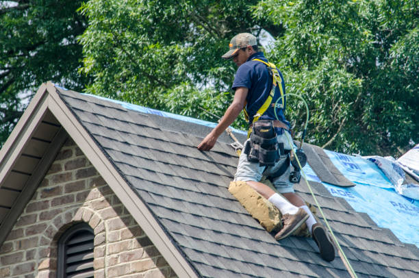 Best Storm Damage Roof Repair  in Vineland, NJ
